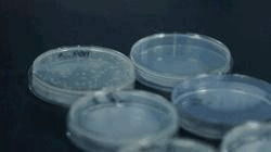 塑料抗菌